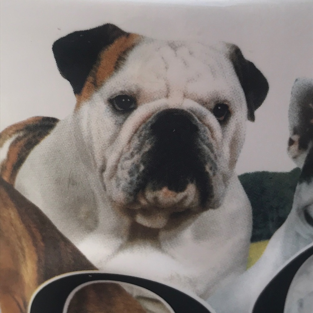 Meet your Posher, Penny